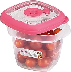 pote-quadrado-plastico-450ml-transparenterosa-sanremo - Imagem