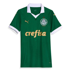 camisa-palmeiras-i-2425-sn-torcedor-puma-masculina-verde - Imagem