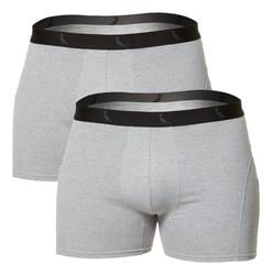 kit-2-cuecas-boxer-masculina-monocromatico-ii-reserva-g9jf - Imagem