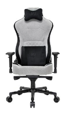 cadeira-gamer-dt3-royce-ashen-com-almofadas-reclinavel-apoio-de-braco-4d-cinza-e-preto-13340-1 - Imagem