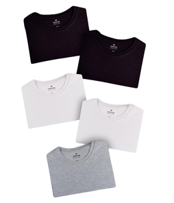kit-com-5-camisetas-femininas-basicas-hering - Imagem