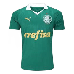 camisa-palmeiras-torcedor-2425-masculina-puma - Imagem