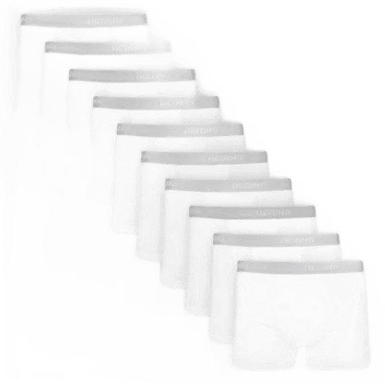 Kit Cueca Boxer Hering 10 Peças