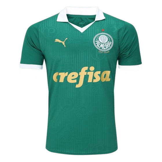 camisa-palmeiras-i-2425-sn-torcedor-puma-masculina - Imagem