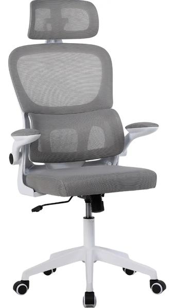 Cadeira Escritório Presidente Ergonômica NR17 Marqs Home Arcanis Cinza com Apoio Lombar e Encosto Mesh Premium