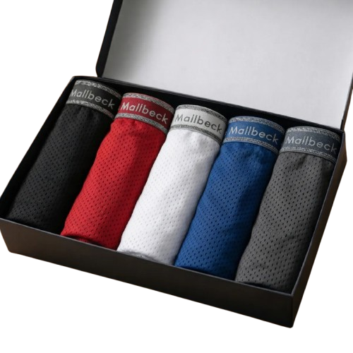 Kit Com 5 Cuecas Dry Fit Microfibra Premium