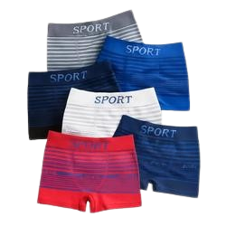 Kit Com 5 Boxers Masculinas Microfibra Cueca Boxer Masculina