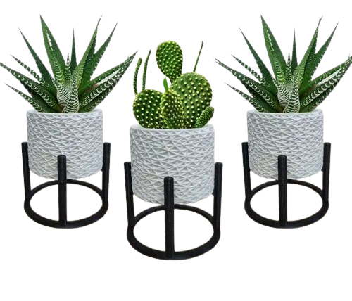 3-vasos-cachepot-suculenta-erva-flor-decoracao-casa-suspenso - Imagem
