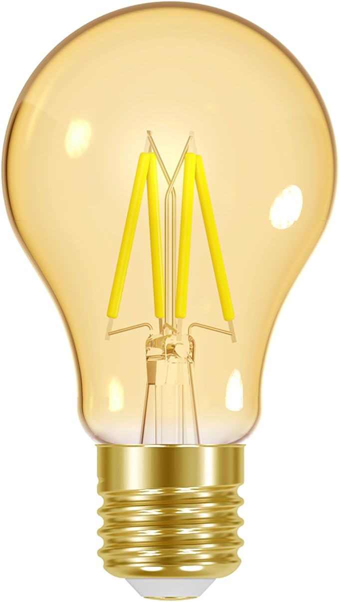 lampada-led-filamento-vintage-autovolt-e27-4w-ambar-taschibra-a60-11080378 - Imagem