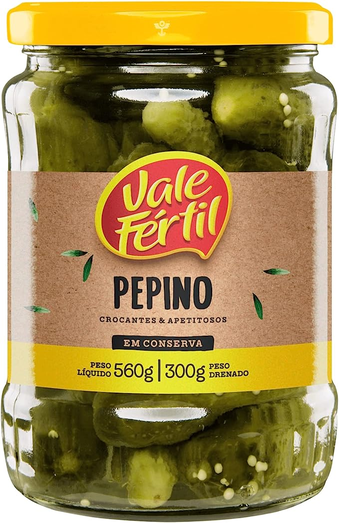 pepino-em-conserva-vale-fertil-vidro-300g-pequeno - Imagem