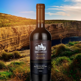 Sierra Batuco Vinho Tinto Chileno Reserva Carmenere 750Ml Sierra Batuco Vinho Tinto Chileno Reserva Carmenere 750Ml