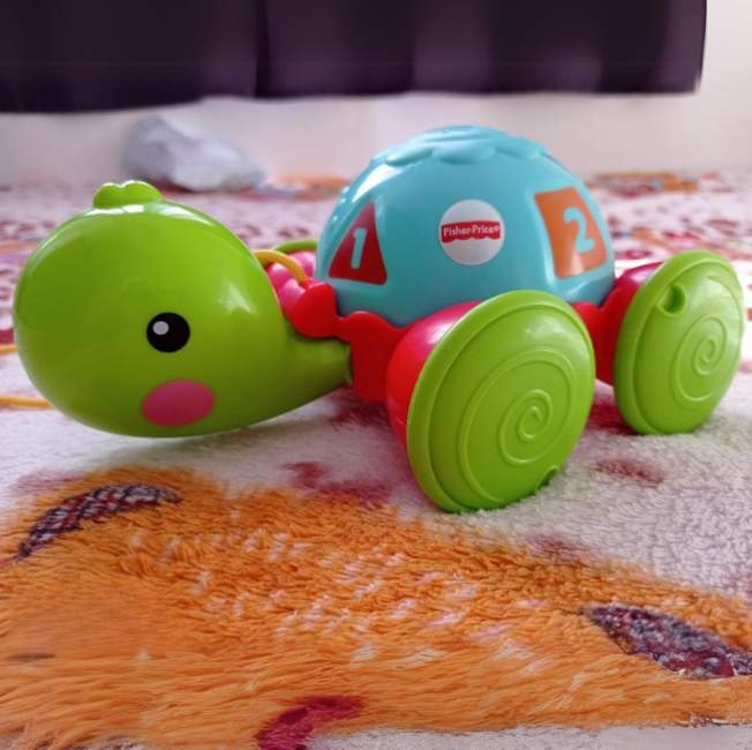 Empurra Tartaruga, Fisher Price, Mattel Empurra Tartaruga, Fisher Price, Mattel