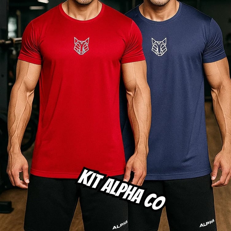 Kit 2 Camisetas Masculina Dry Alpha Co Kit 2 Camisetas Masculina Dry Alpha Co