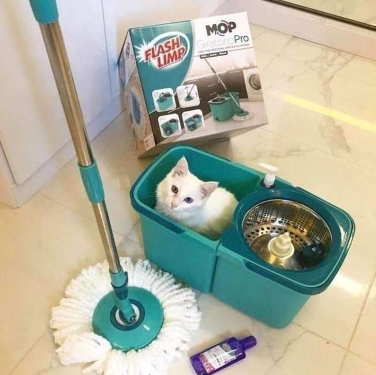 Mop Giratório Pró Duas Águas, Balde Com 9 Litros, Cesto Inox E Divisor De Água, Mop7824, Flash Limp Mop Giratório Pró Duas Águas, Balde Com 9 Litros, Cesto Inox E Divisor De Água, Mop7824, Flash Limp