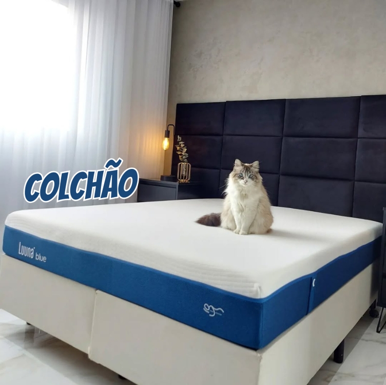 Colchão Luuna Blue Branco E Azul Casal 3 Espumas Colchão Luuna Blue Branco E Azul Casal 3 Espumas