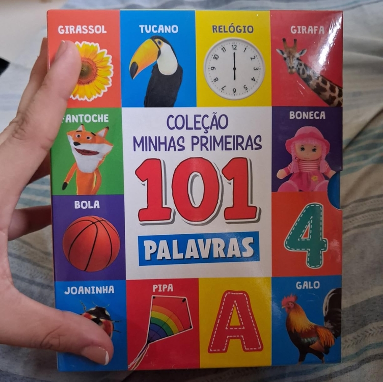Coleção Minhas Primeiras 101 Palavras - Box com 3 Livrinhos Coleção Minhas Primeiras 101 Palavras - Box com 3 Livrinhos