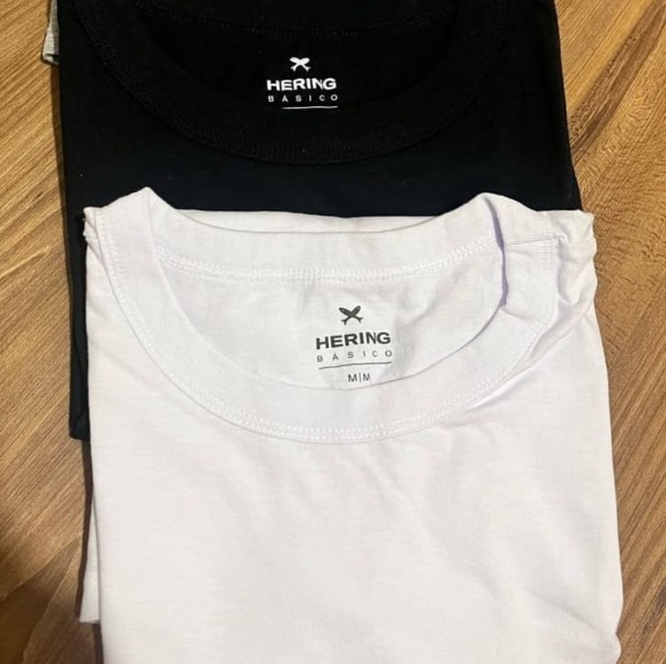 Camiseta Hering Básica Feminina Camiseta Hering Básica Feminina