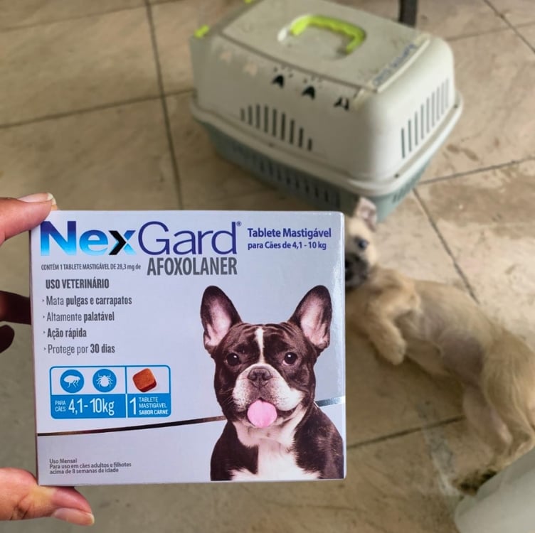 NexGard Antipulgas e Carrapatos para Cães de 4,1 a 10kg, 1 tablete NexGard Antipulgas e Carrapatos para Cães de 4,1 a 10kg, 1 tablete