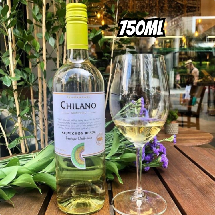 Chilano Vinho Chileno Branco Sauvignon Blanc 750Ml Chilano Vinho Chileno Branco Sauvignon Blanc 750Ml