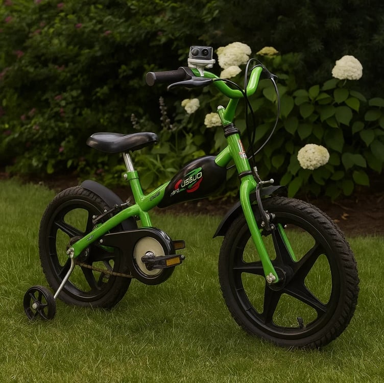 Bicicleta Infantil Verden VR 600 - Aro 16 com rodinhas e buzina Bicicleta Infantil Verden VR 600 - Aro 16 com rodinhas e buzina