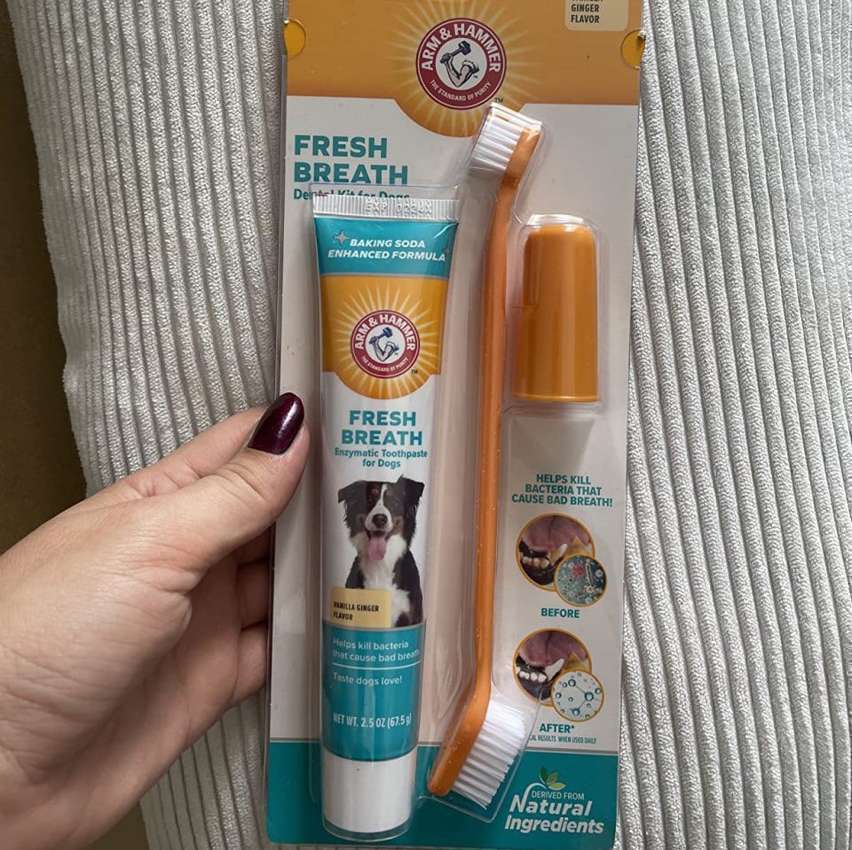 Kit de higiene oral para cães Arm & Hammer Kit de higiene oral para cães Arm & Hammer
