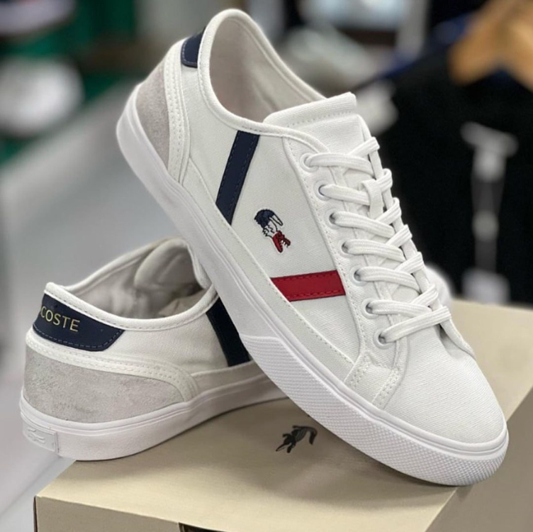 Tênis De Tecido Masculino Lacoste Sideline Tricolor Tênis De Tecido Masculino Lacoste Sideline Tricolor