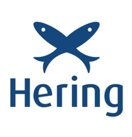 bug-50-off-hering-leia-descricao - Imagem